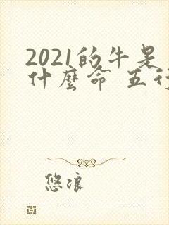 2021的牛是什么命 五行属什么
