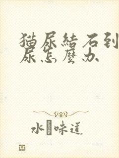 猫尿结石到处乱尿怎么办