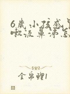 6岁小孩感冒咳嗽流鼻涕怎么办