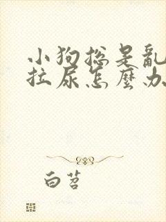 小狗总是乱拉屎拉尿怎么办