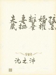 夫妻离婚孩子9岁抚养权怎么判定