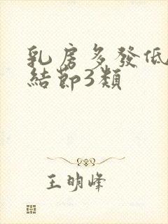 乳房多发低回声结节3类