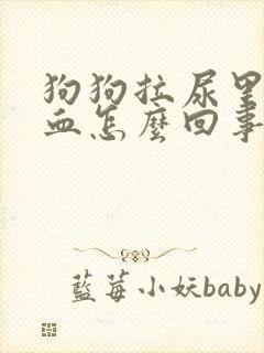 狗狗拉尿里面有血怎么回事封面