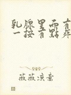 乳腺里面有硬块一按有点疼