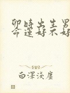 卯时出生男孩的命运好不好