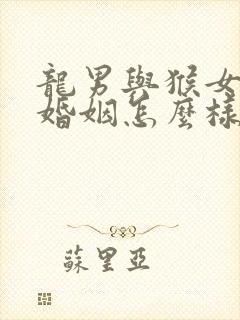 龙男与猴女相配婚姻怎么样