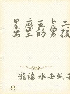 农历五月二十五出生的男孩命运好吗2024年封面