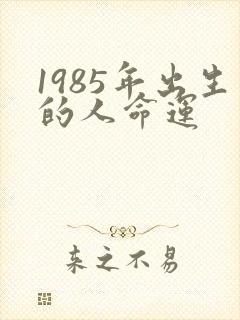 1985年出生的人命运