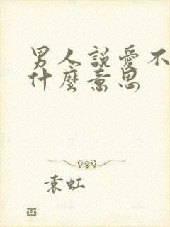 男人说爱不起是什么意思封面
