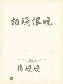相贱恨晚封面
