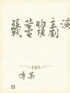 张若昀主演的谍战电视剧封面