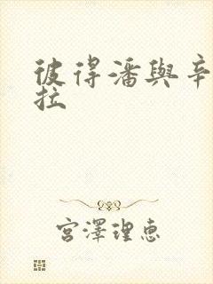 彼得潘与辛德瑞拉封面