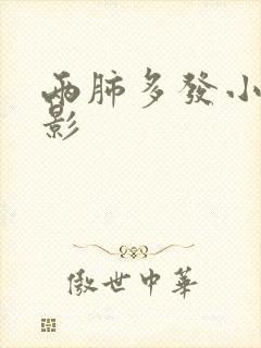 两肺多发小结节影