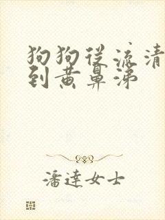 狗狗从流清鼻涕到黄鼻涕