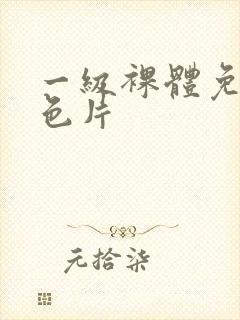 一级裸体免费黄色片封面