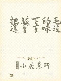 把腋下的毛去掉还会有味道吗封面