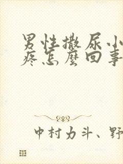 男性撒尿小肚子疼怎么回事