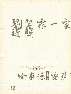 刘笑霖一家三口近照