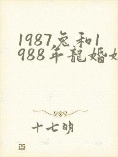 1987兔和1988年龙婚姻好不好