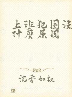 上班犯困没精神什么原因