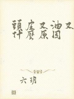 头皮又油又痒是什么原因封面