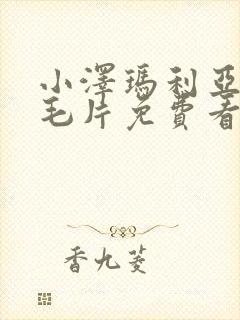 小泽玛利亚av毛片免费看