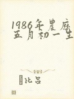 1986年农历五月初一生男命运如何