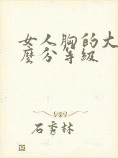 女人胸的大小怎么分等级