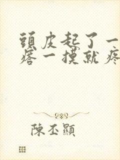 头皮起了一个疙瘩一摸就疼