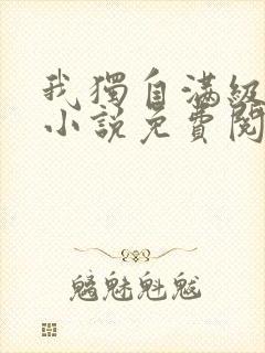 我独自满级新手小说免费阅读