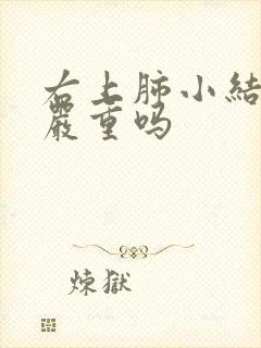 右上肺小结节影严重吗