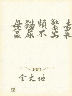 母猫频繁去猫砂盆尿不出来