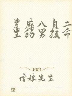 农历八月二十出生的男孩命运