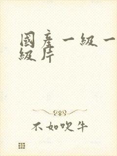 国产一级一级一级片