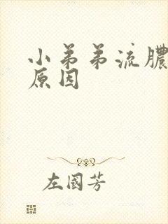 小弟弟流脓什么原因