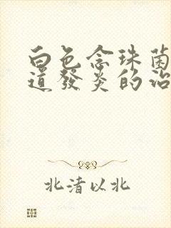 白色念珠菌性阴道发炎的治疗封面