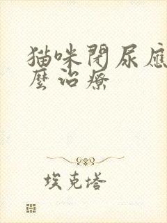 猫咪闭尿应该怎么治疗