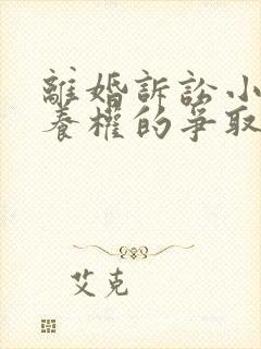 离婚诉讼小孩抚养权的争取封面