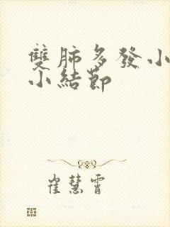 双肺多发小及微小结节