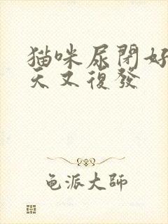 猫咪尿闭好了几天又复发封面