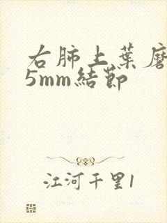 右肺上叶磨玻璃5mm结节