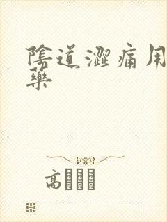 阴道涩痛用什么药