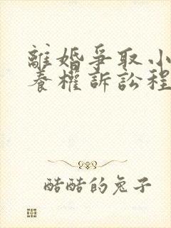 离婚争取小孩抚养权诉讼程序