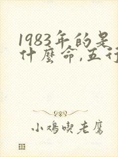 1983年的是什么命,五行属性