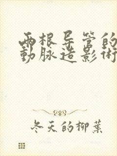 两根导管的冠状动脉造影术