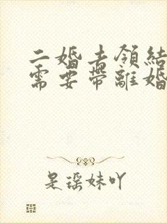 二婚去领结婚证需要带离婚证吗