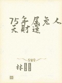 75年属兔人今天财运