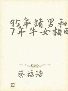 95年猪男和97年牛女相配吗