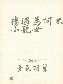 杨过为何不嫌弃小龙女封面