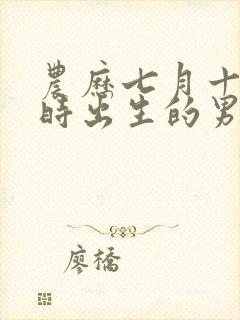 农历七月十五辰时出生的男孩命运封面